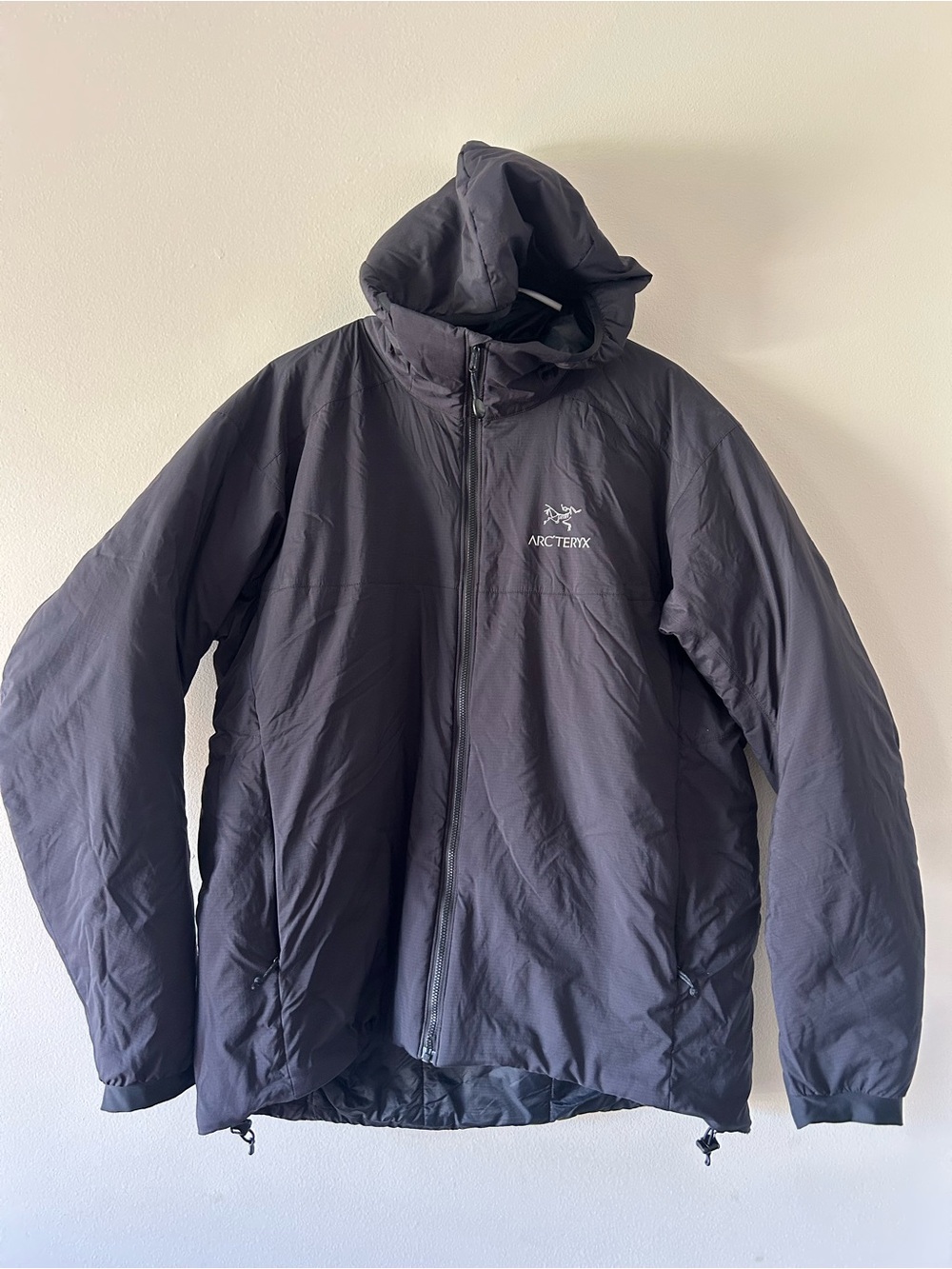 Arc'teryx Men's Black Hooded Puffer Jacket